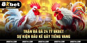 Trận Đá Gà 24 Tỷ 8KBET - Sự Kiện Đấu Kê Gây Tiếng Vang