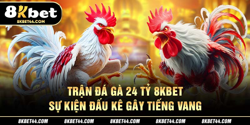Trận Đá Gà 24 Tỷ 8KBET - Sự Kiện Đấu Kê Gây Tiếng Vang