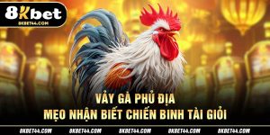 Vảy Gà Phủ Địa - Mẹo Nhận Biết Chiến Binh Tài Giỏi